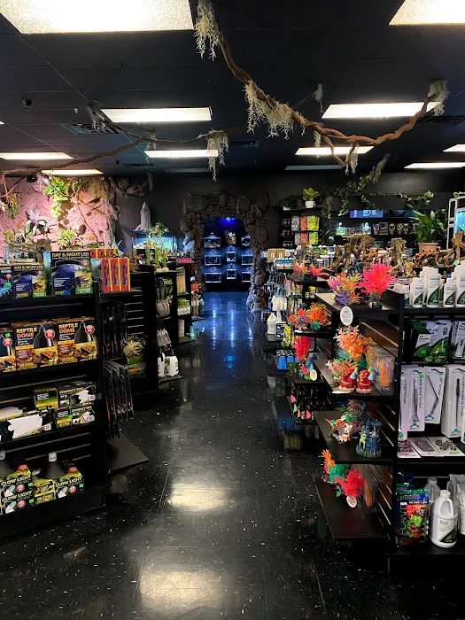 Exotic Pets 12