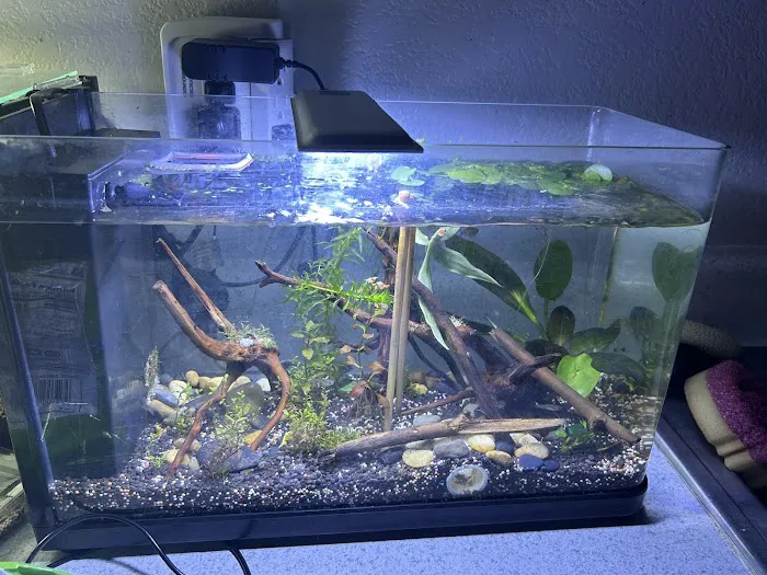 Aquatic Pets - Wichita Aquarium 12