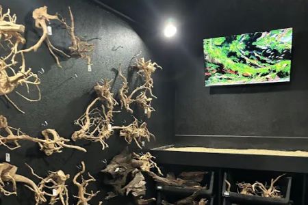 Aquatic Pets - Wichita Aquarium
