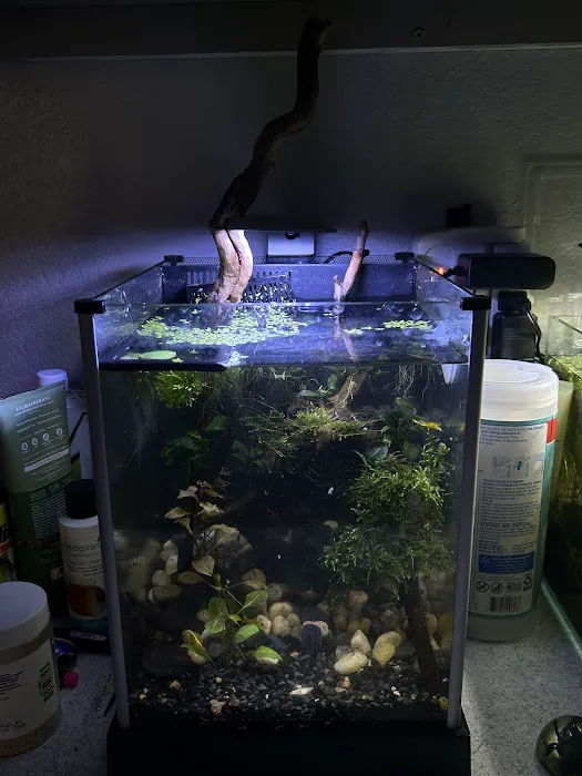 Aquatic Pets - Wichita Aquarium 12