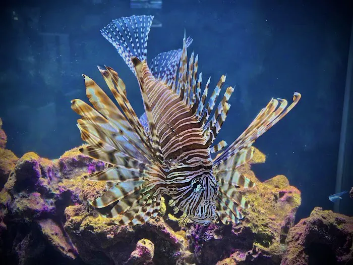Aquatic Pets - Wichita Aquarium 12