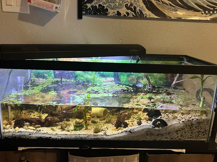 Aquatic Pets - Wichita Aquarium 12