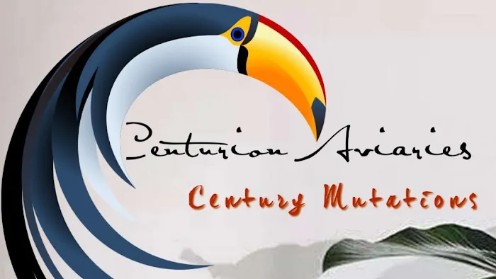 The original Centurion Aviaries & Avian Essentials 3