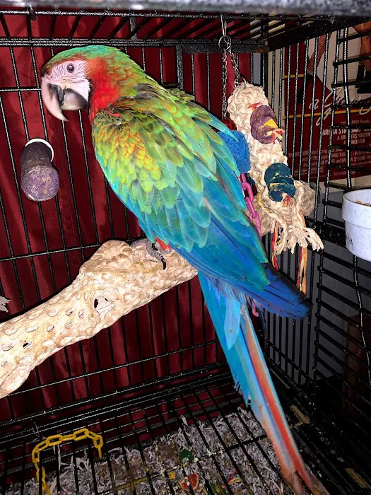 The original Centurion Aviaries & Avian Essentials 9