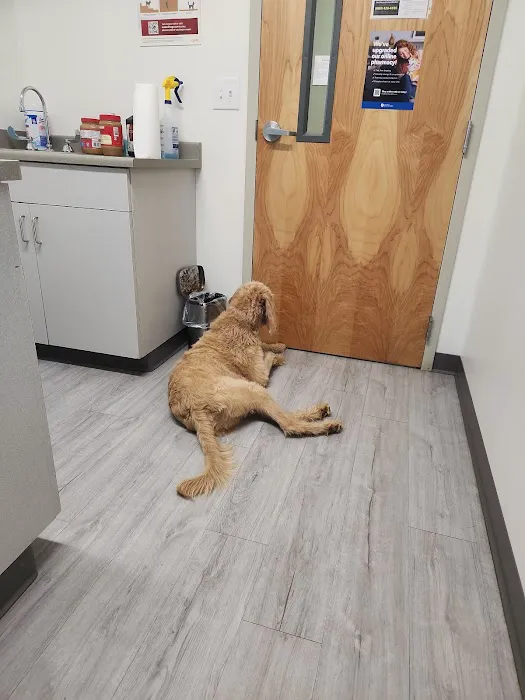 Triangle Veterinary Clinic 8