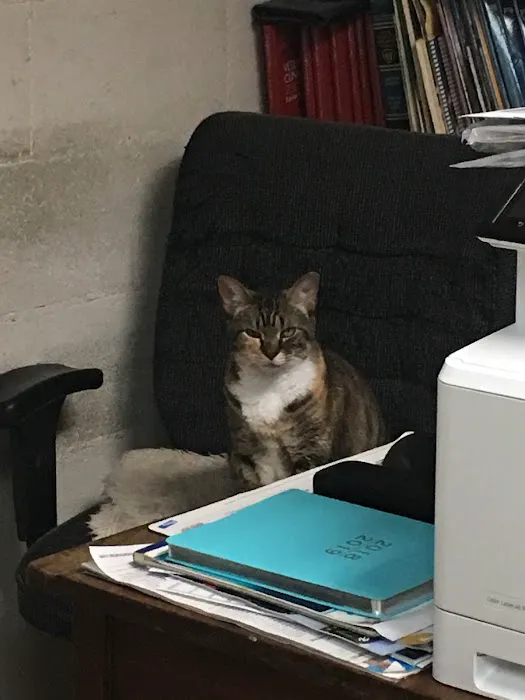 Triangle Veterinary Clinic 10