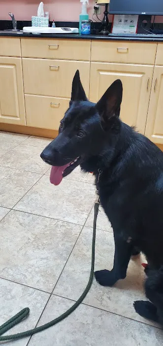 Vale Veterinary Hospital: Matthews Melissa DVM 1