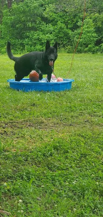 Vale Veterinary Hospital: Matthews Melissa DVM 3