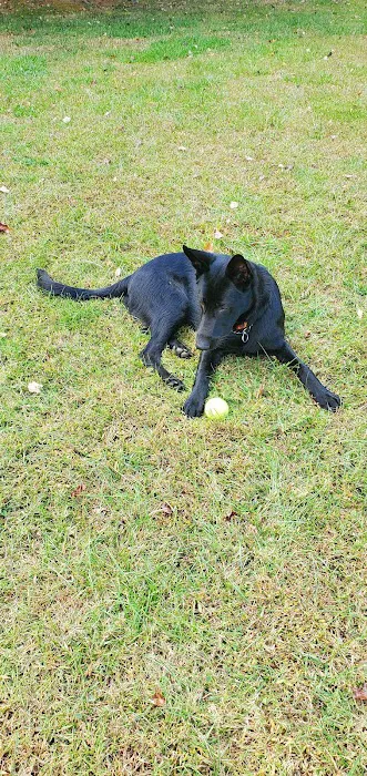 Vale Veterinary Hospital: Matthews Melissa DVM 5