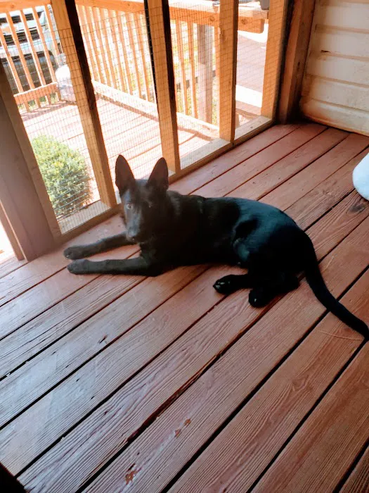 Vale Veterinary Hospital: Matthews Melissa DVM 6