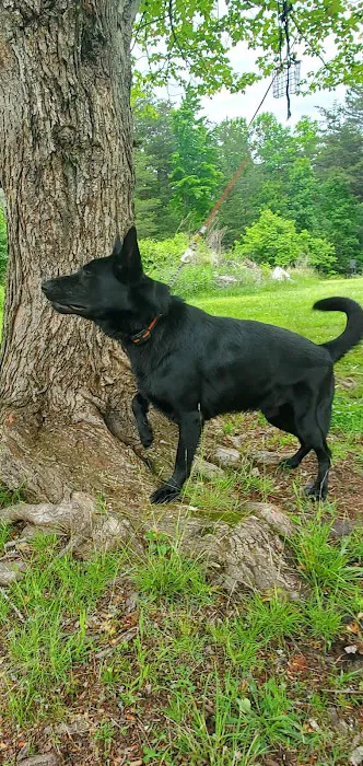 Vale Veterinary Hospital: Matthews Melissa DVM 4