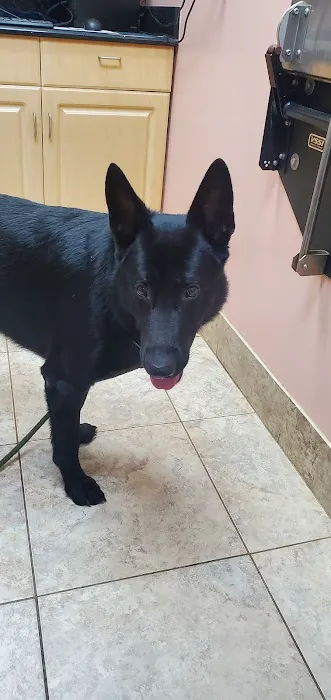 Vale Veterinary Hospital 2