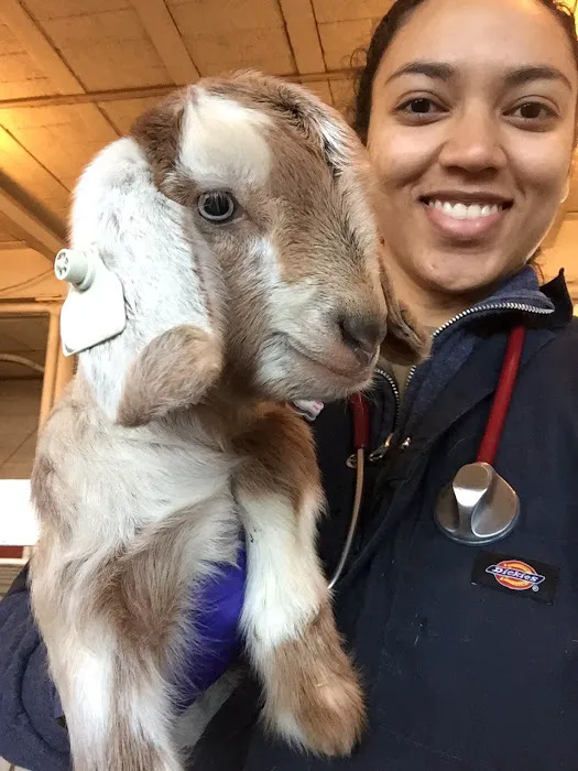 Vale Veterinary Hospital 10