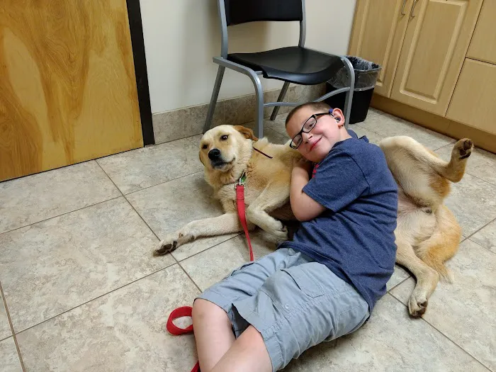Vale Veterinary Hospital 5