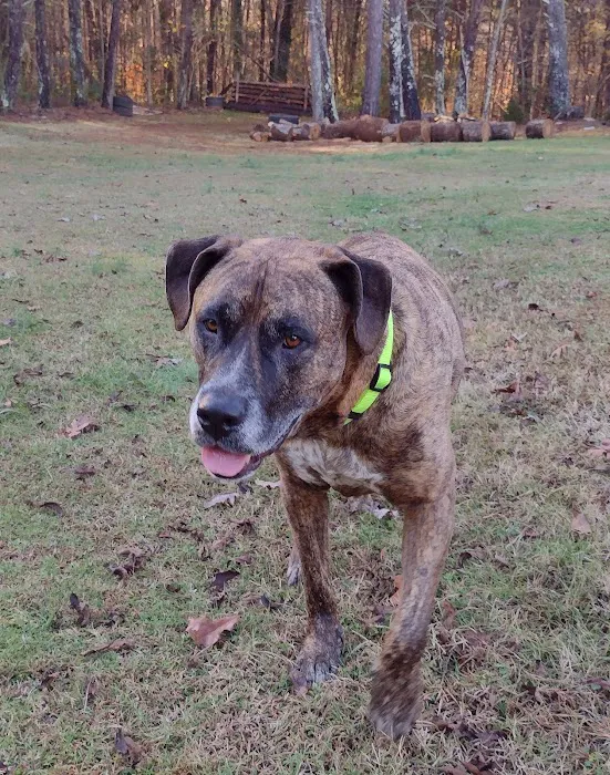 Vale Veterinary Hospital: Matthews Steven DVM 3