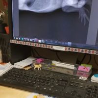 Vale Veterinary Hospital: Matthews Steven DVM ico