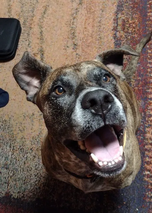Vale Veterinary Hospital: Matthews Steven DVM 4
