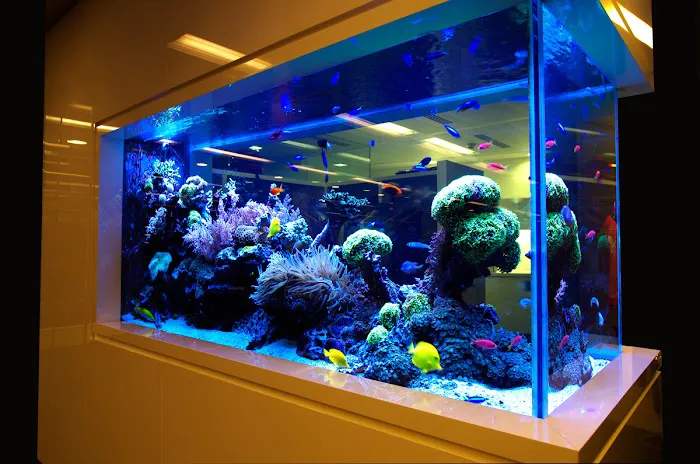 Marine Extremes 12