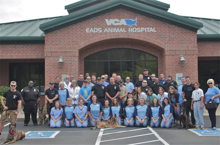 VCA Eads Animal Hospital 10