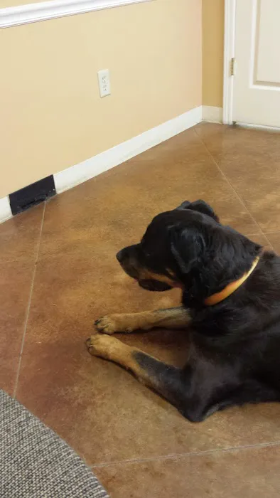 VCA Eads Animal Hospital 4