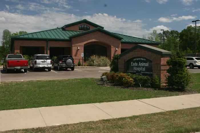 VCA Eads Animal Hospital 7