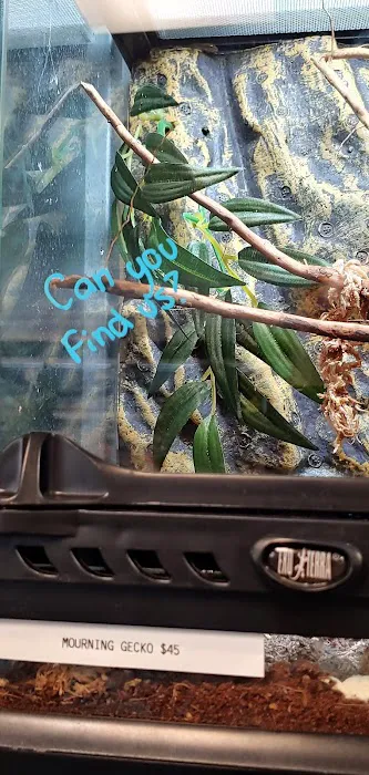 Exotic Pets 12