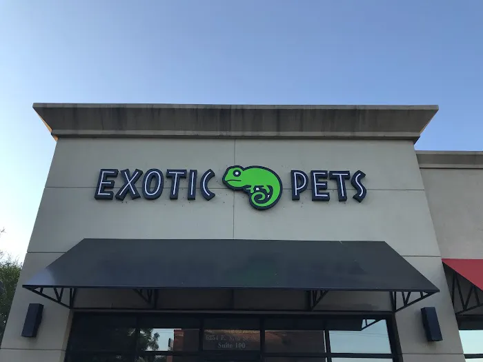 Exotic Pets 12
