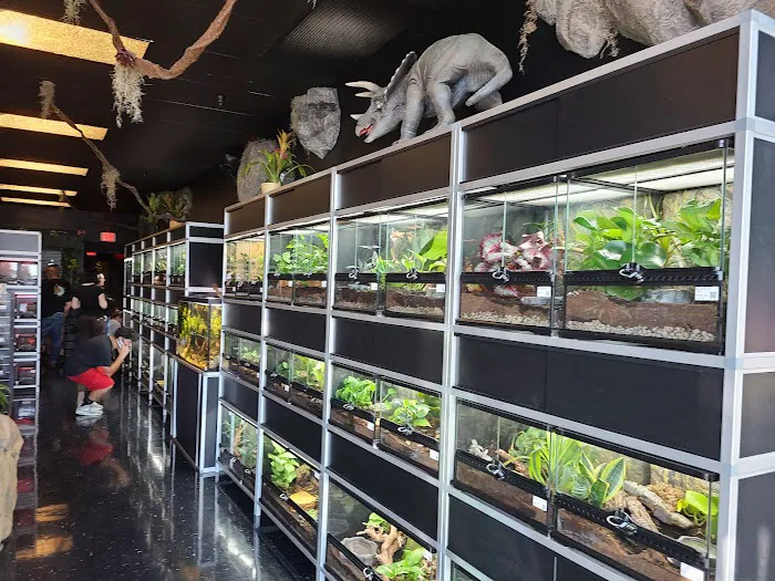Exotic Pets 12
