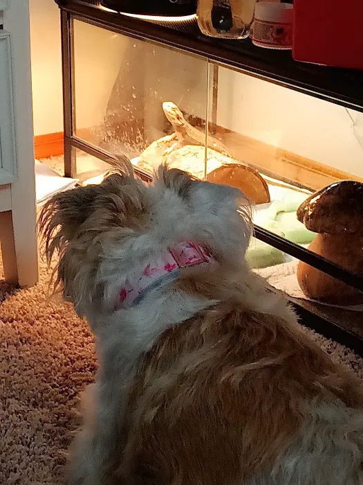 Exotic Pets 12