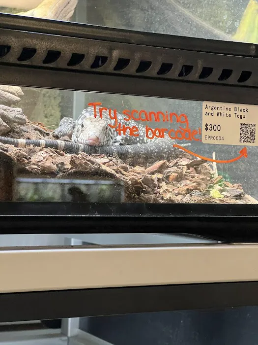 Exotic Pets 12