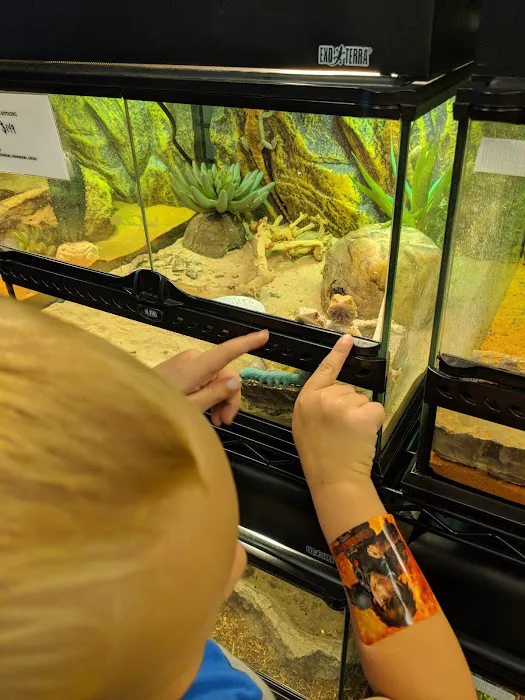 Exotic Pets 12