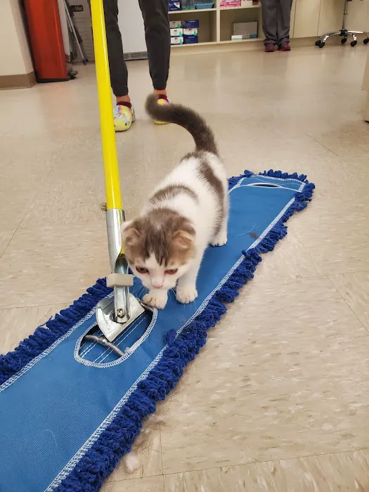Arlington Animal Clinic 4