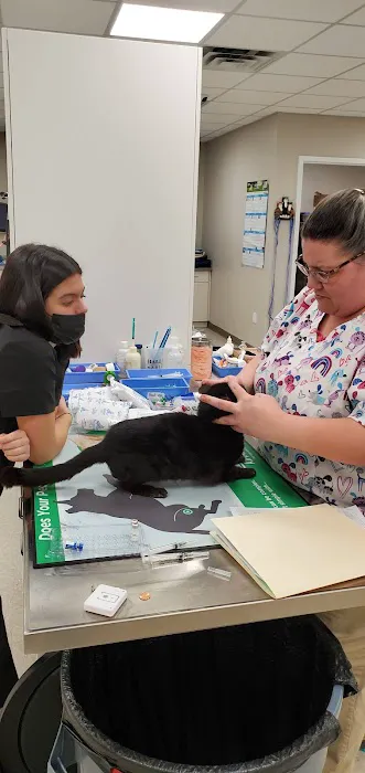 Arlington Animal Clinic 9