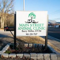Main Street Animal Clinic ico