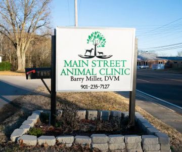 Main Street Animal Clinic