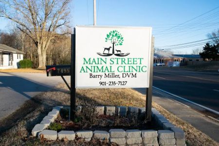 Main Street Animal Clinic