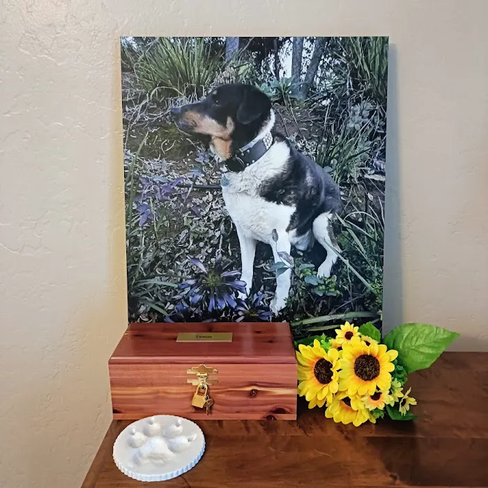 Vista Veterinary Hospital 2