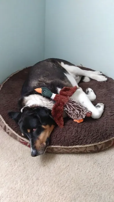 Vista Veterinary Hospital 3