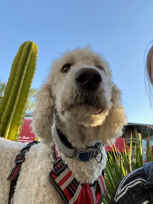 Vista Veterinary Hospital 1