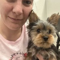 Puppy Dreams - East Wichita ico