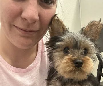 Puppy Dreams - East Wichita