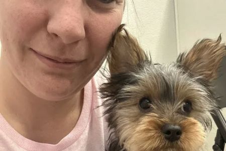 Puppy Dreams - East Wichita