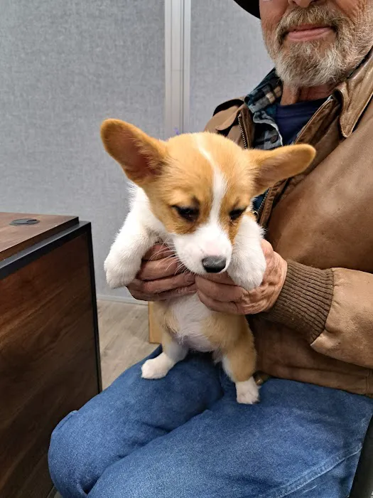 Puppy Dreams - East Wichita 12
