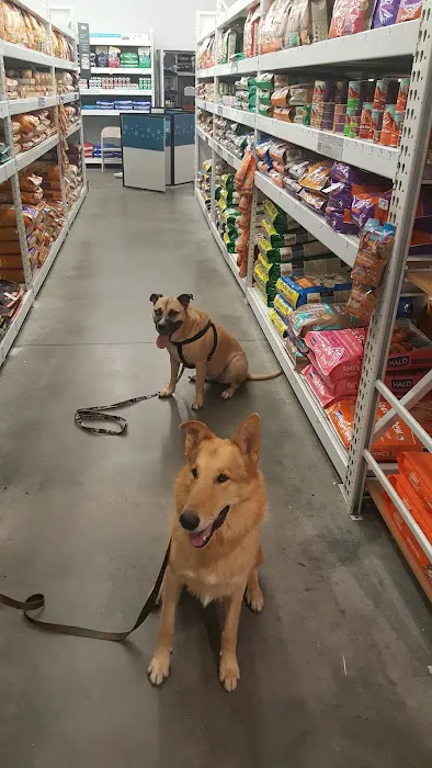 Petco 12