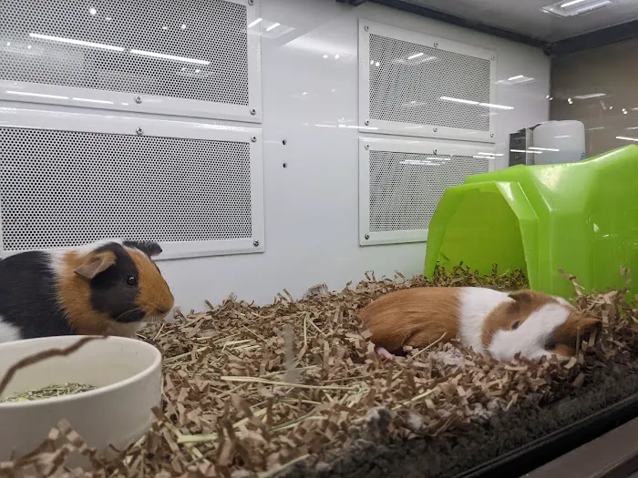 Petco 12