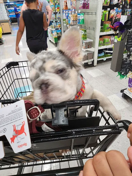 Petco 12