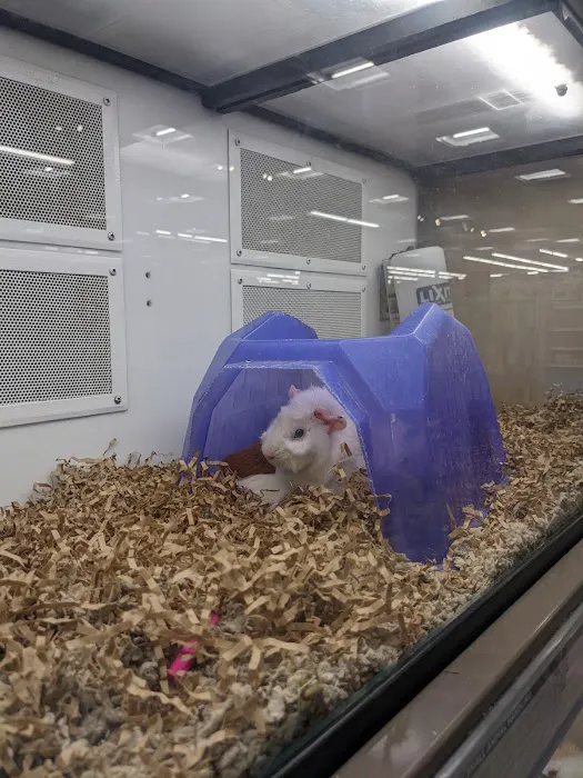 Petco 12