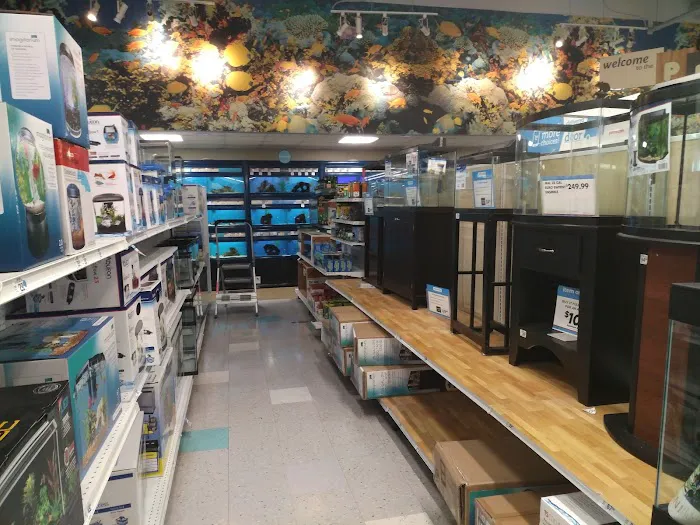 Petco 12