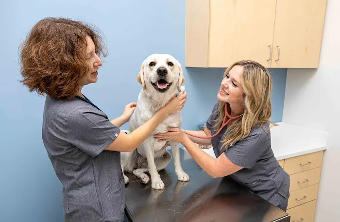 North County Animal Hospital 1