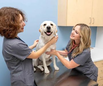 North County Animal Hospital
